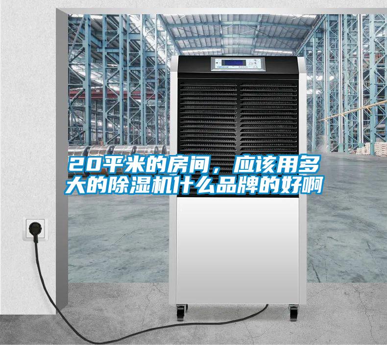 20平米的房間,應(yīng)該用多大的除濕機(jī)什么品牌的好啊