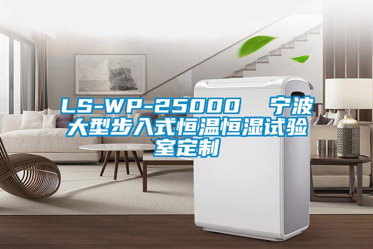 LS-WP-25000 寧波大型步入式恒溫恒濕試驗室定制