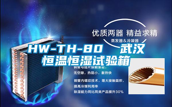 HW-TH-80 武漢恒溫恒濕試驗箱