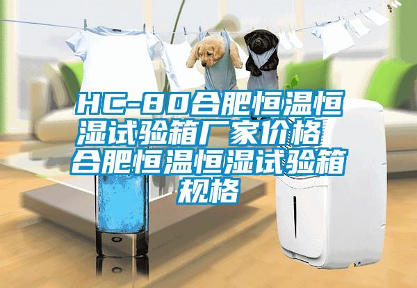 HC-80合肥恒溫恒濕試驗箱廠家價格 合肥恒溫恒濕試驗箱規格