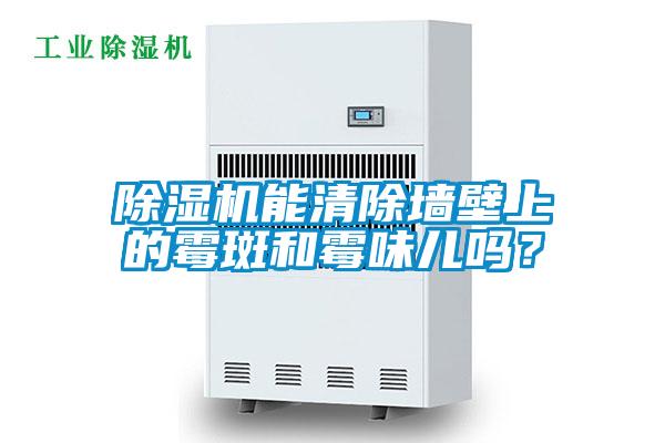 除濕機(jī)能清除墻壁上的霉斑和霉味兒嗎?
