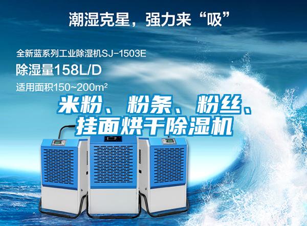 米粉、粉條、粉絲、掛面烘干除濕機