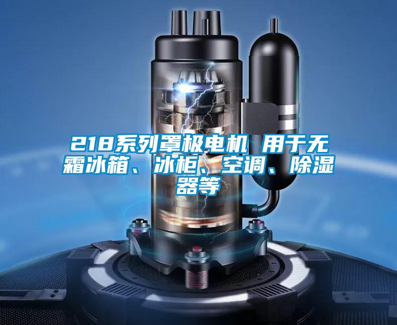 218系列罩極電機(jī) 用于無(wú)霜冰箱、冰柜、空調(diào)、除濕器等