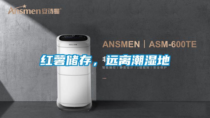 紅薯儲存,遠(yuǎn)離潮濕地