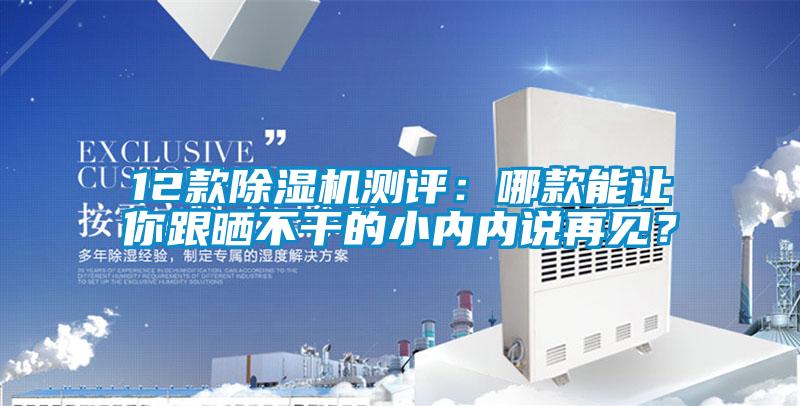 12款除濕機測評:哪款能讓你跟曬不干的小內內說再見?