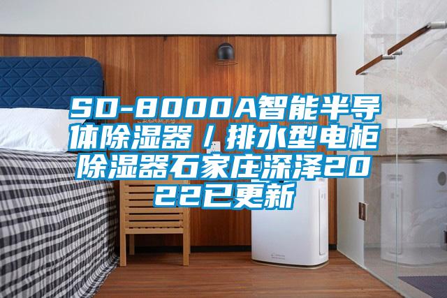 SD-8000A智能半導體除濕器/排水型電柜除濕器石家莊深澤2022已更新