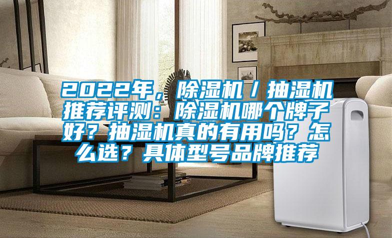 2022年,除濕機/抽濕機推薦評測:除濕機哪個牌子好?抽濕機真的有用嗎?怎么選?具體型號品牌推薦