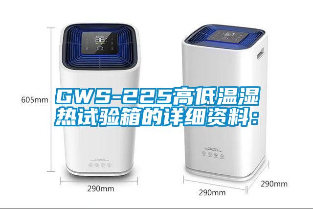 GWS-225高低溫濕熱試驗箱的詳細資料:
