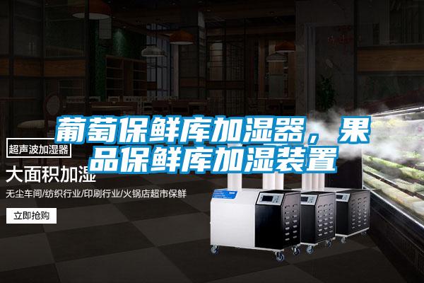 葡萄保鮮庫加濕器,果品保鮮庫加濕裝置