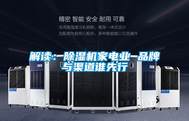 解讀:除濕機家電業 品牌與渠道誰先行