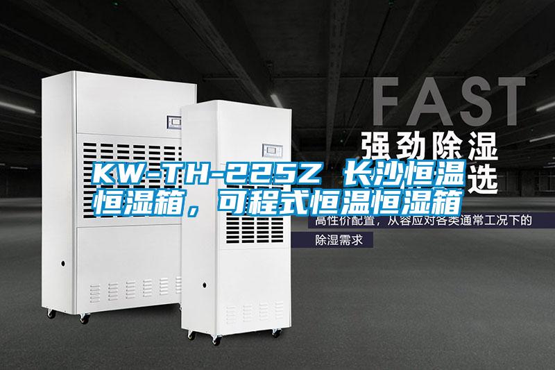 KW-TH-225Z 長沙恒溫恒濕箱,可程式恒溫恒濕箱