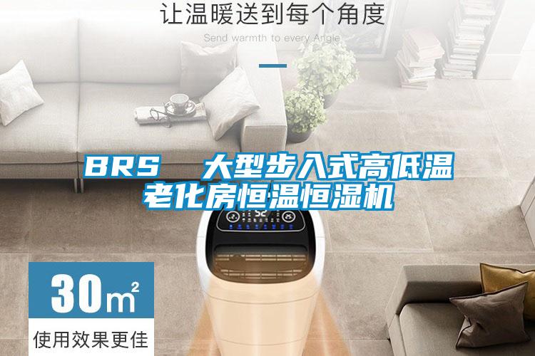 BRS 大型步入式高低溫老化房恒溫恒濕機