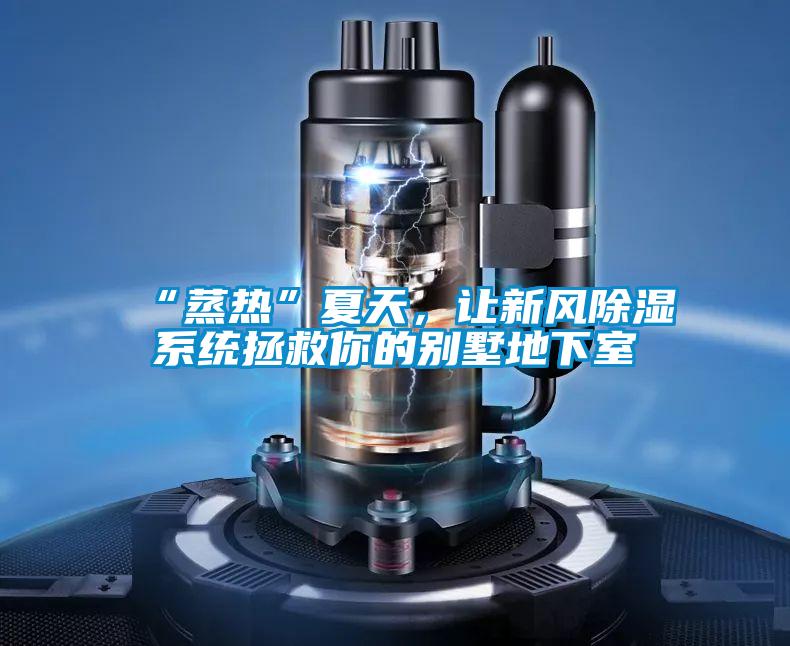 “蒸熱”夏天，讓新風除濕系統拯救你的別墅地下室