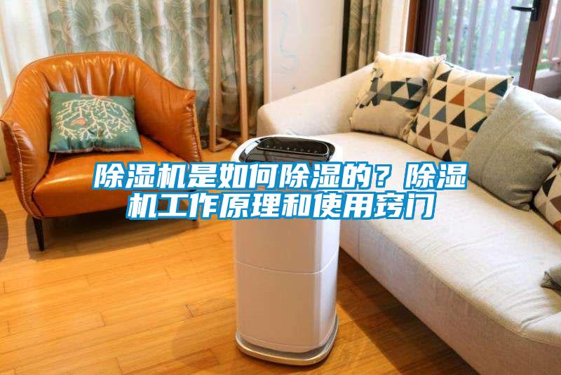 除濕機是如何除濕的?除濕機工作原理和使用竅門