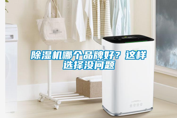 除濕機哪個品牌好?這樣選擇沒問題
