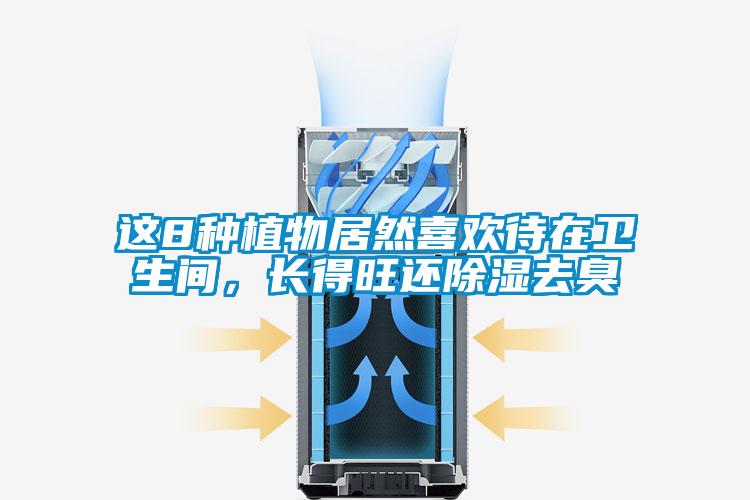 這8種植物居然喜歡待在衛(wèi)生間,長得旺還除濕去臭