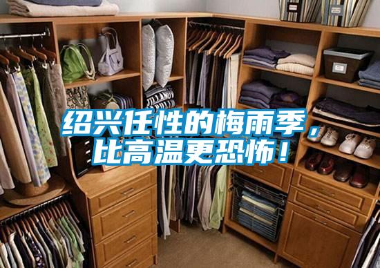 紹興任性的梅雨季,比高溫更恐怖!