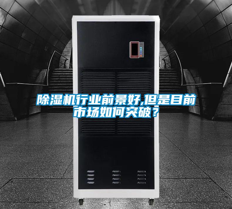 除濕機(jī)行業(yè)前景好,但是目前市場(chǎng)如何突破?
