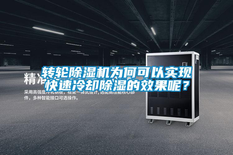 轉輪除濕機為何可以實現快速冷卻除濕的效果呢?
