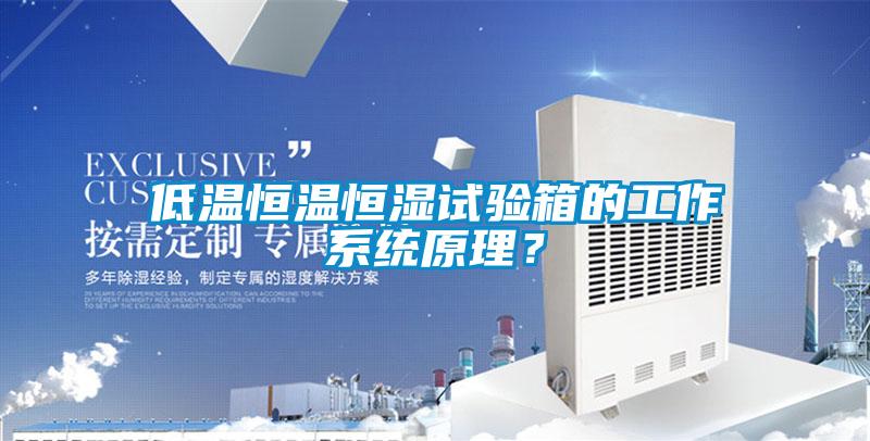 低溫恒溫恒濕試驗箱的工作系統原理?