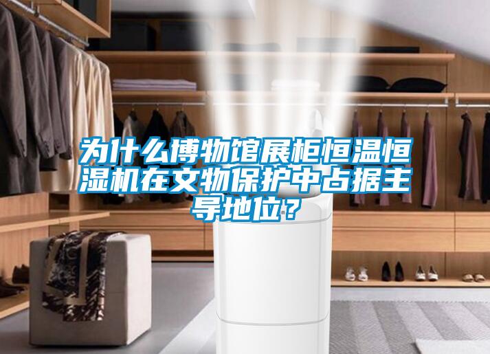 為什么博物館展柜恒溫恒濕機在文物保護中占據主導地位？