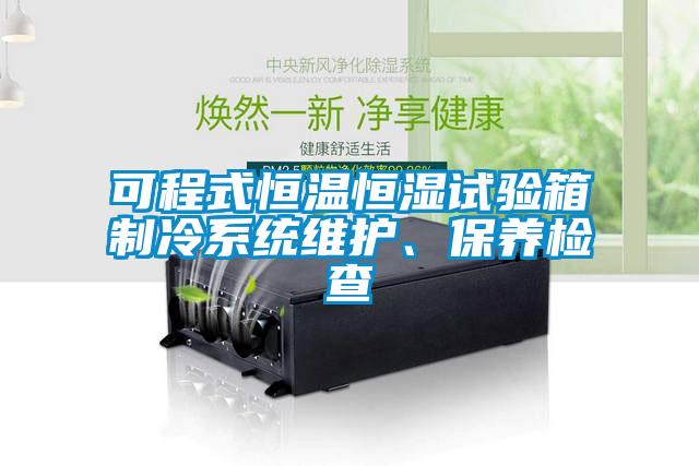 可程式恒溫恒濕試驗箱制冷系統(tǒng)維護(hù)、保養(yǎng)檢查