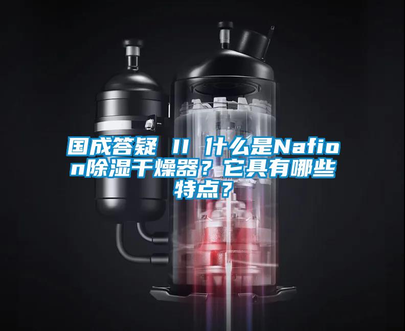 國成答疑 II 什么是Nafion除濕干燥器？它具有哪些特點？