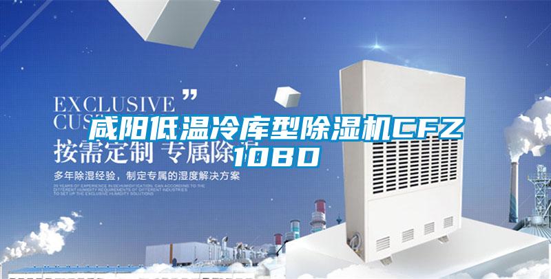 咸陽低溫冷庫型除濕機CFZ10BD