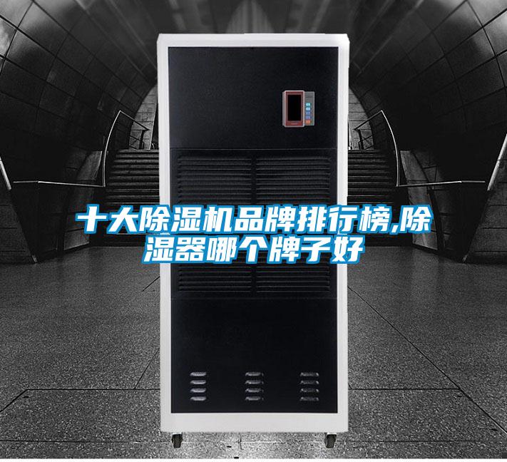 十大除濕機(jī)品牌排行榜,除濕器哪個(gè)牌子好