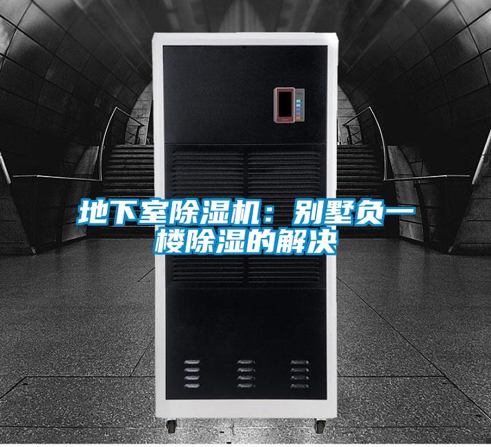 地下室除濕機:別墅負一樓除濕的解決