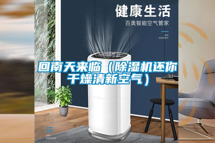 回南天來臨(除濕機還你干燥清新空氣)