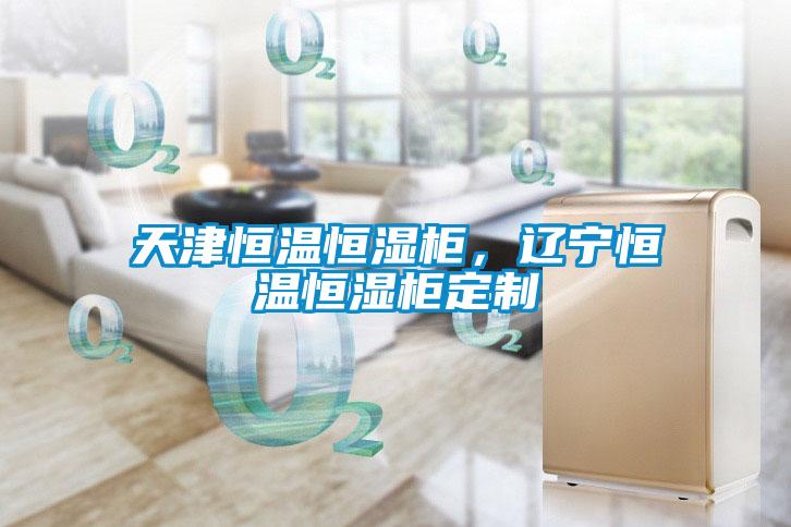 天津恒溫恒濕柜,遼寧恒溫恒濕柜定制