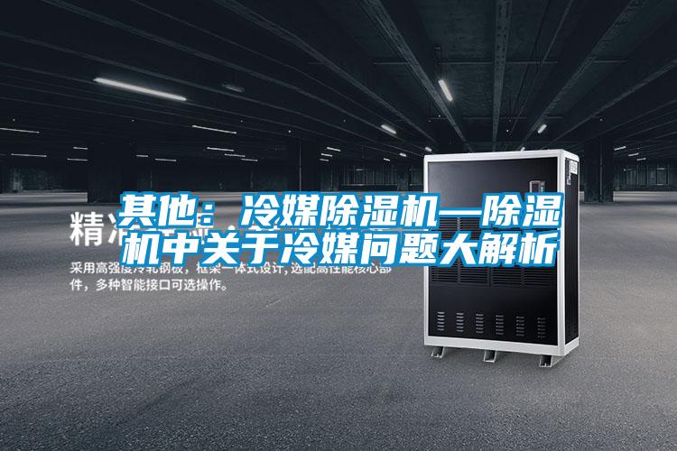 其他:冷媒除濕機—除濕機中關于冷媒問題大解析