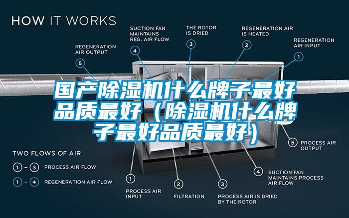 國產除濕機什么牌子最好品質最好(除濕機什么牌子最好品質最好)