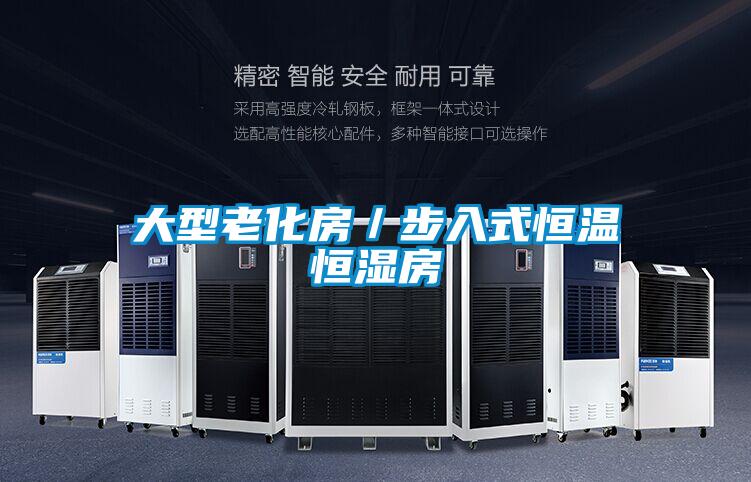 大型老化房/步入式恒溫恒濕房
