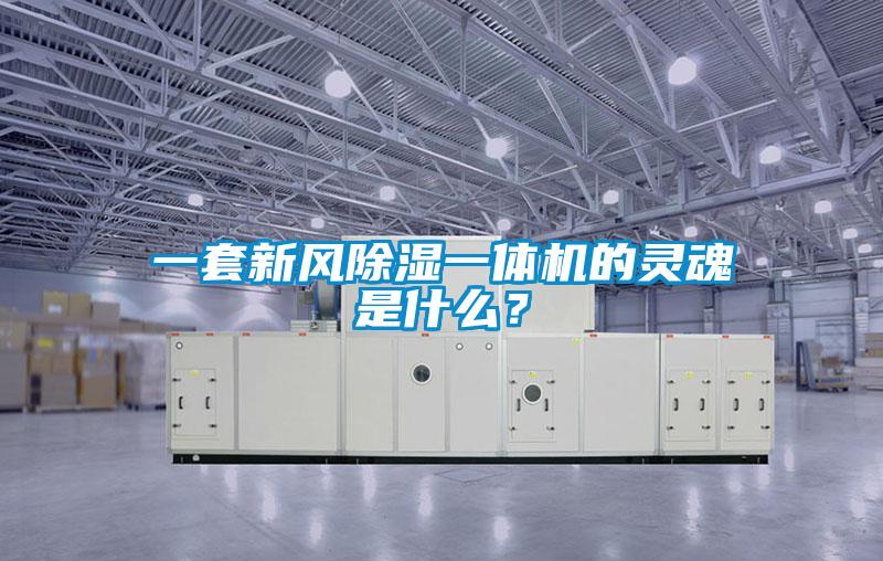 一套新風除濕一體機的靈魂是什么?
