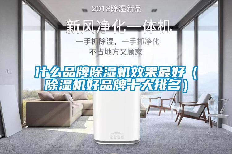 什么品牌除濕機效果最好（除濕機好品牌十大排名）
