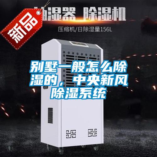 別墅一般怎么除濕的，中央新風除濕系統
