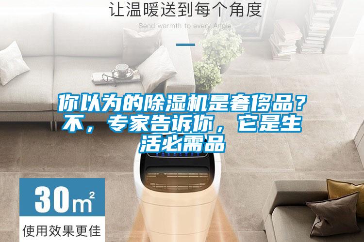 你以為的除濕機是奢侈品?不,專家告訴你,它是生活必需品