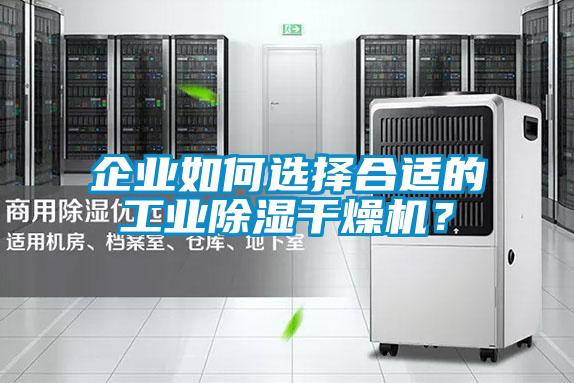 企業如何選擇合適的工業除濕干燥機?