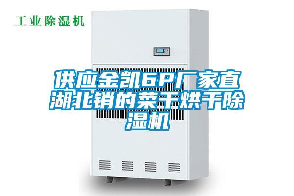 供應金凱6P廠家直湖北銷的菜干烘干除濕機