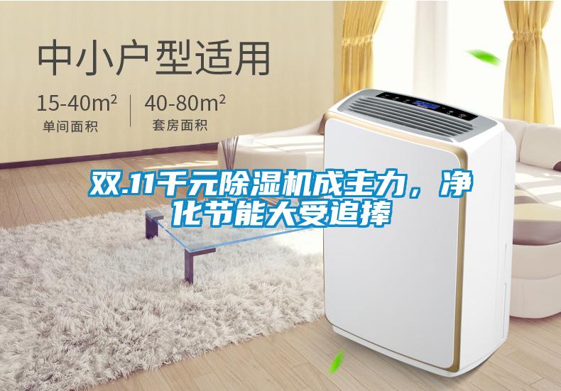 雙.11千元除濕機(jī)成主力,凈化節(jié)能大受追捧