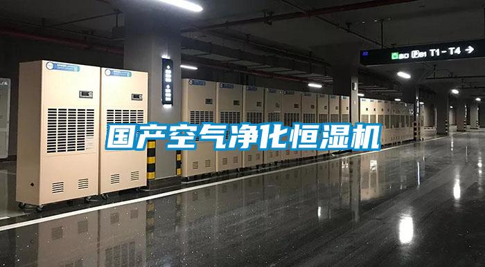 國產空氣凈化恒濕機