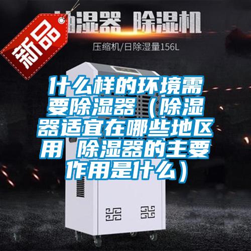什么樣的環境需要除濕器（除濕器適宜在哪些地區用 除濕器的主要作用是什么）