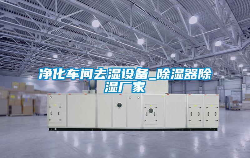 凈化車間去濕設備_除濕器除濕廠家