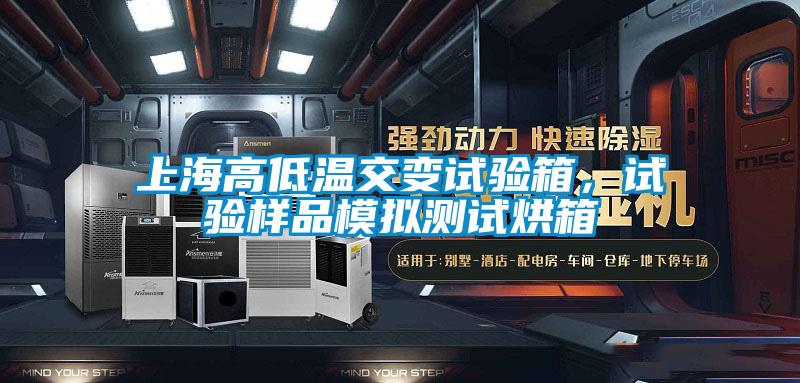上海高低溫交變試驗箱，試驗樣品模擬測試烘箱