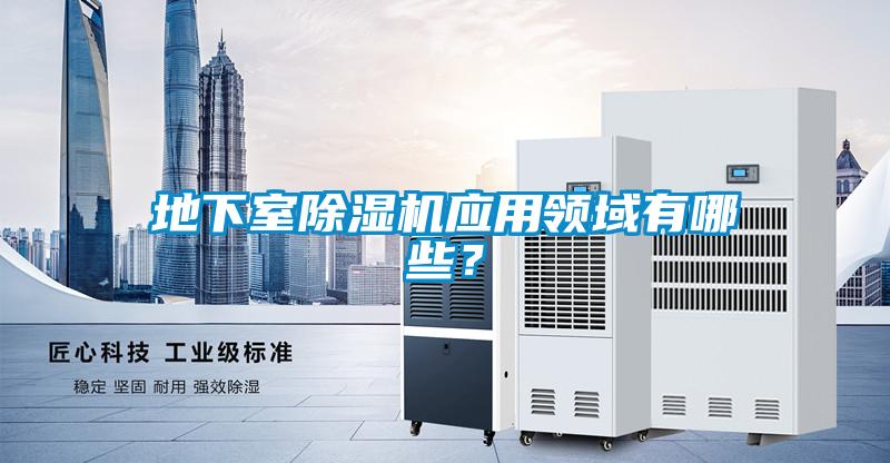地下室除濕機(jī)應(yīng)用領(lǐng)域有哪些?