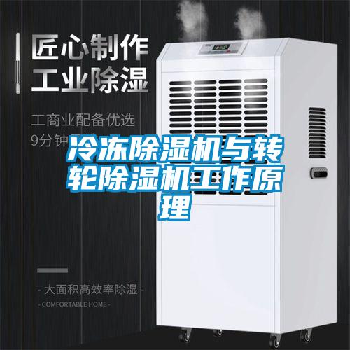 冷凍除濕機與轉(zhuǎn)輪除濕機工作原理