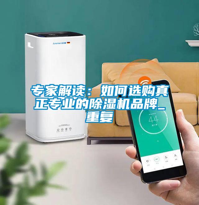 專家解讀:如何選購真正專業的除濕機品牌_重復