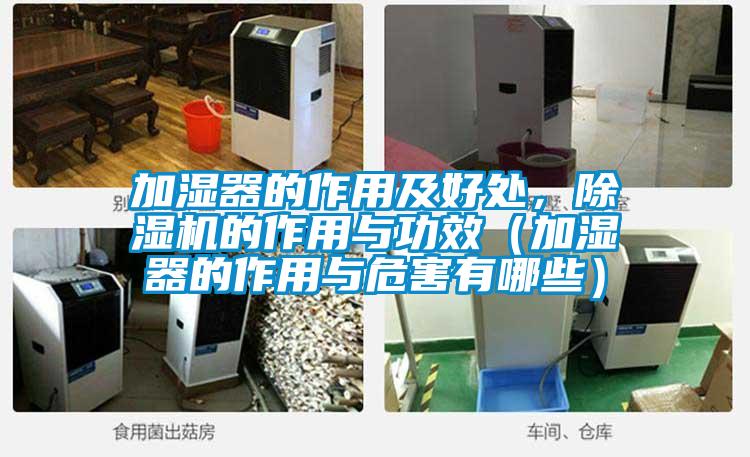 加濕器的作用及好處,除濕機的作用與功效(加濕器的作用與危害有哪些)